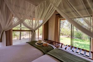 Bush Suite